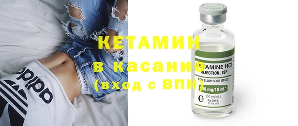 прущие грибы Абаза