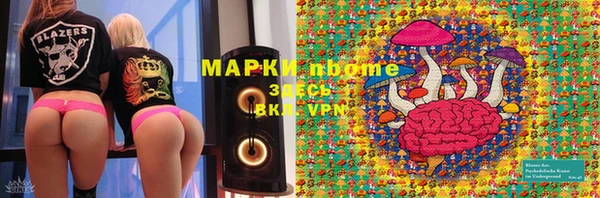 прущие грибы Абаза
