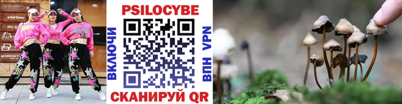 где найти наркотики  MEGA как войти  Галлюциногенные грибы GOLDEN TEACHER  Шумерля 