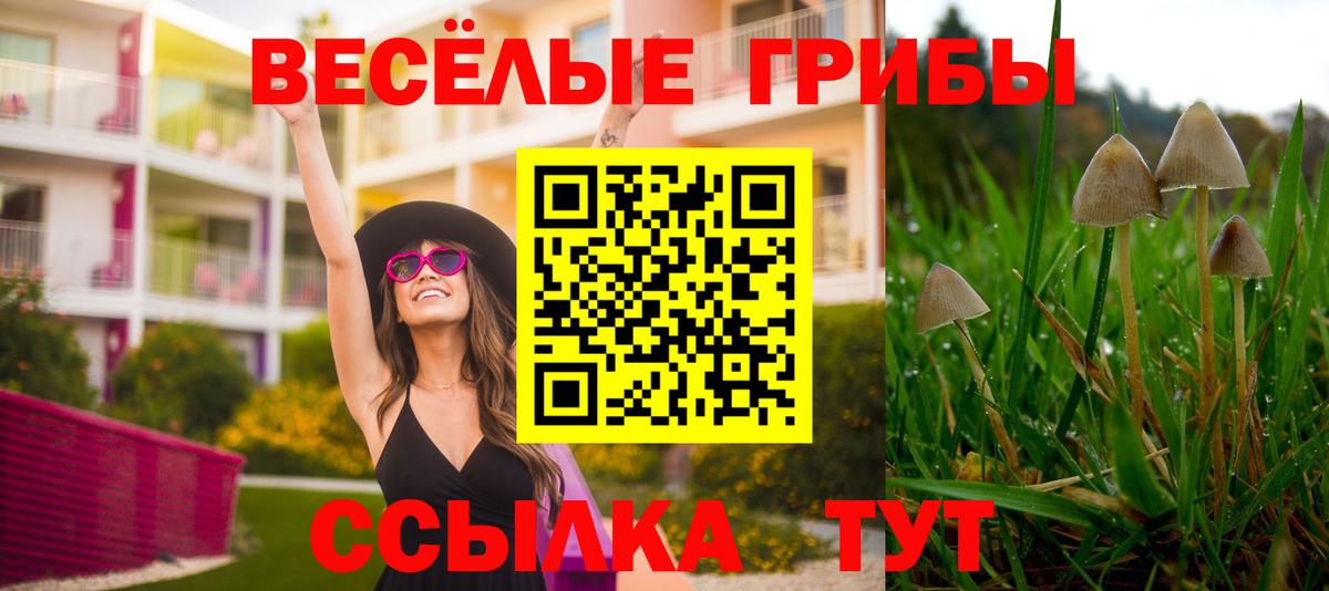 Псилоцибиновые грибы MAGIC MUSHROOMS  Галлюциногенные грибы GOLDEN TEACHER  Шумерля  Вход с VPN 